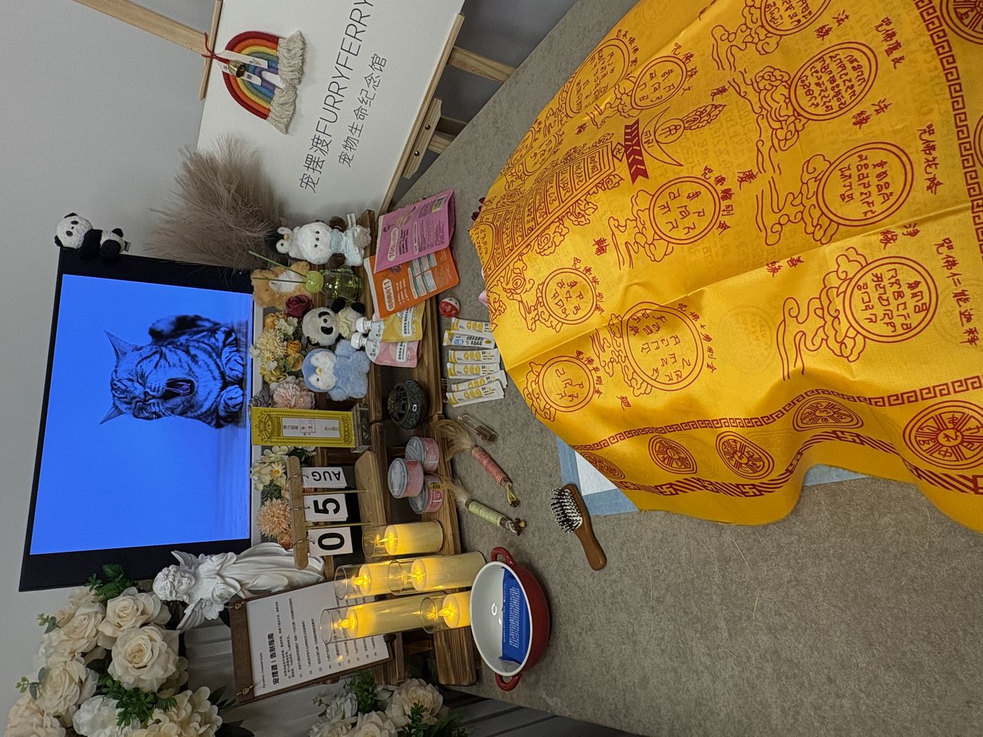 孩子的疑问