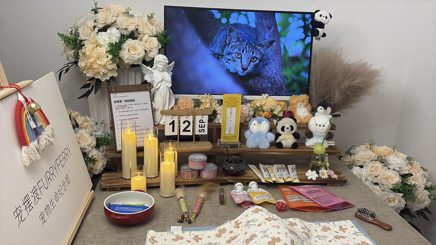 死亡证明如何开具