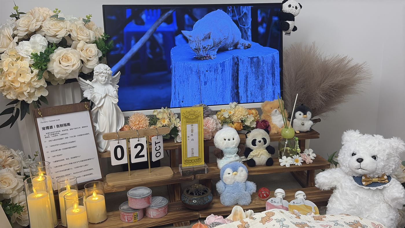 如何面对宠物离世的悲伤？写给潍坊养宠人的心理支持