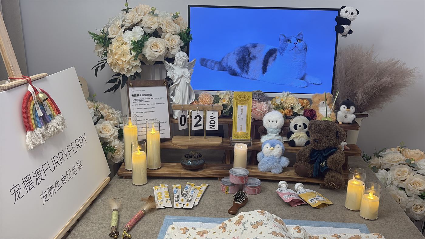 潍坊宠物告别厅布置：如何给风筝城家属一个体面的告别